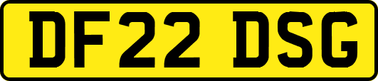DF22DSG