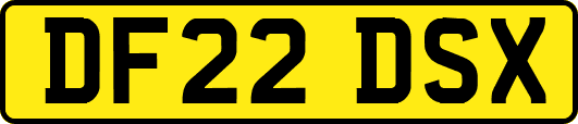 DF22DSX