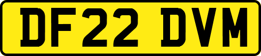 DF22DVM