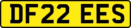 DF22EES