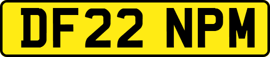 DF22NPM