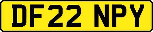 DF22NPY