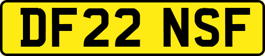DF22NSF