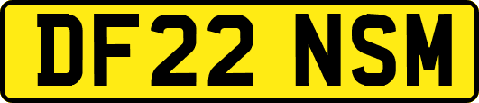 DF22NSM