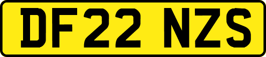 DF22NZS