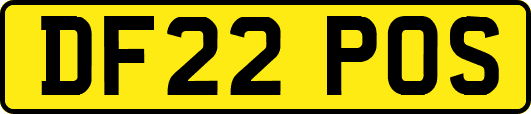 DF22POS