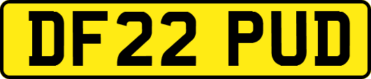 DF22PUD