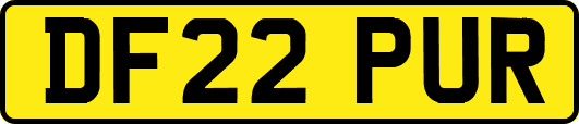 DF22PUR
