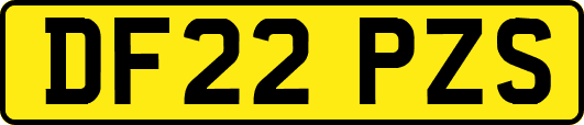 DF22PZS