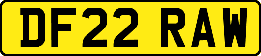 DF22RAW
