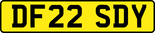 DF22SDY