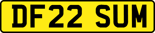 DF22SUM