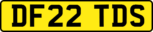 DF22TDS