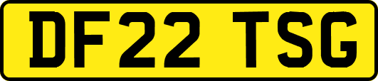 DF22TSG