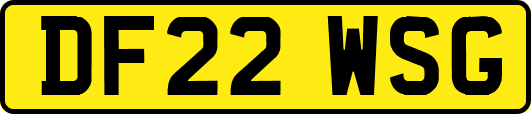 DF22WSG