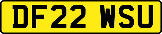 DF22WSU