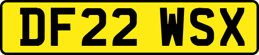 DF22WSX