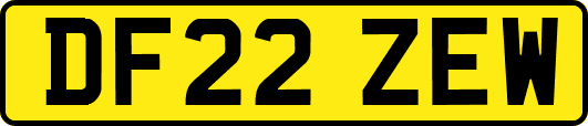 DF22ZEW