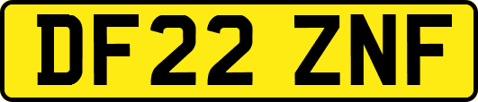 DF22ZNF