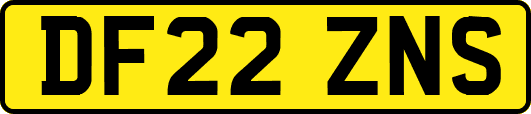 DF22ZNS