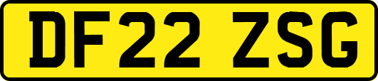 DF22ZSG
