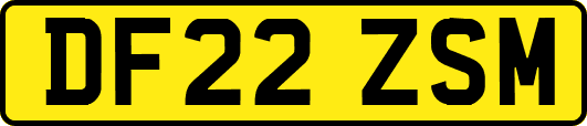 DF22ZSM