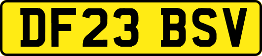 DF23BSV