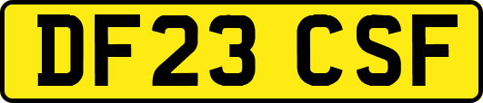 DF23CSF
