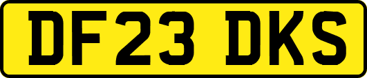 DF23DKS