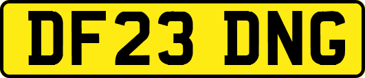 DF23DNG