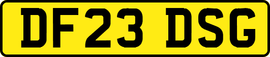 DF23DSG