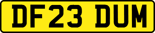DF23DUM