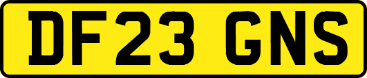 DF23GNS