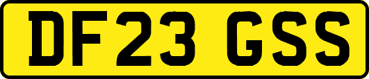 DF23GSS
