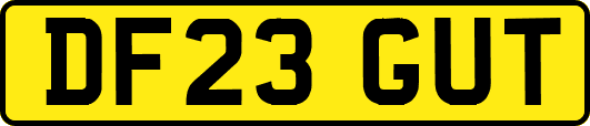 DF23GUT