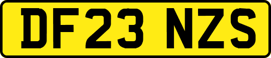 DF23NZS