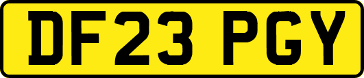 DF23PGY