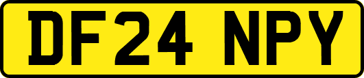 DF24NPY