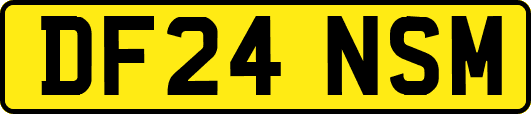DF24NSM