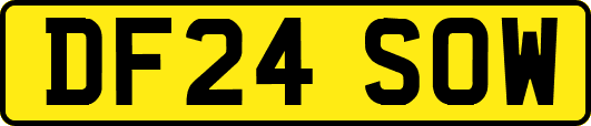 DF24SOW