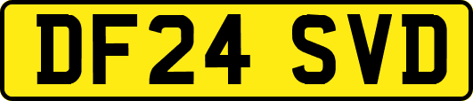 DF24SVD