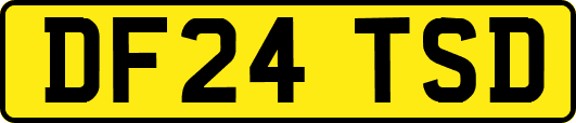 DF24TSD