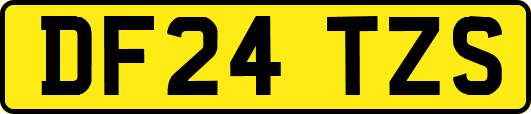 DF24TZS