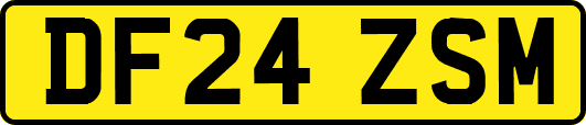 DF24ZSM