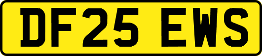 DF25EWS