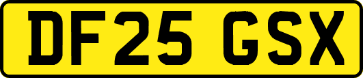 DF25GSX