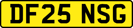 DF25NSG
