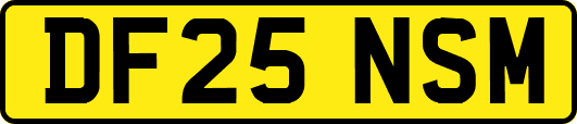 DF25NSM