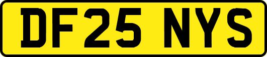 DF25NYS
