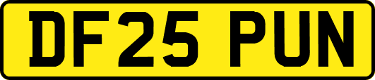 DF25PUN
